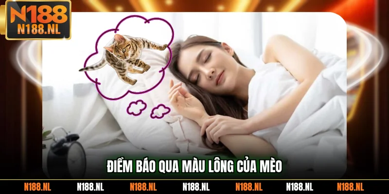 Điềm báo qua màu lông của mèo