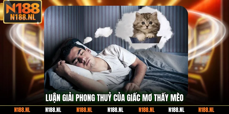 Luận giải phong thuỷ của giấc mơ thấy mèo