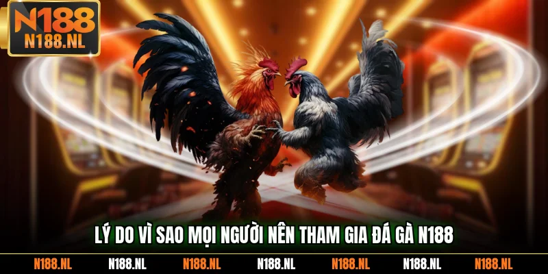 Lý do vì sao mọi người nên tham gia đá gà N188