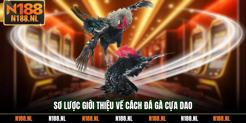 Sơ lược giới thiệu về cách đá gà cựa dao