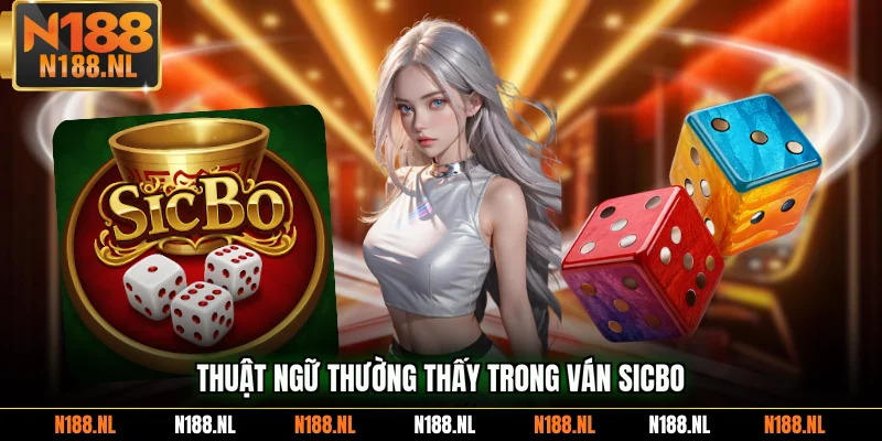 Thuật ngữ thường thấy trong ván Sicbo
